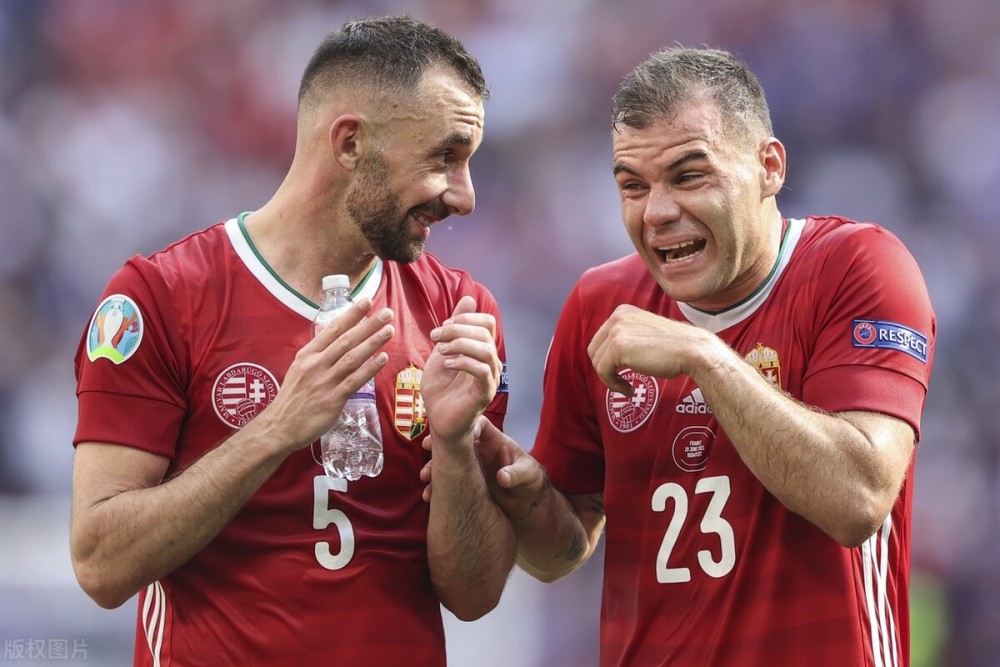 匈牙利爆冷负斯洛文尼亚,出线希望渺茫 匈牙利爆冷负斯洛文尼亚,出线希望渺茫