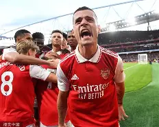 熊猫直播官网-阿森纳新帅连胜引领，英超赛场再现希望的简单介绍