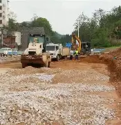 NS碾压100T，Bwipo高光表现